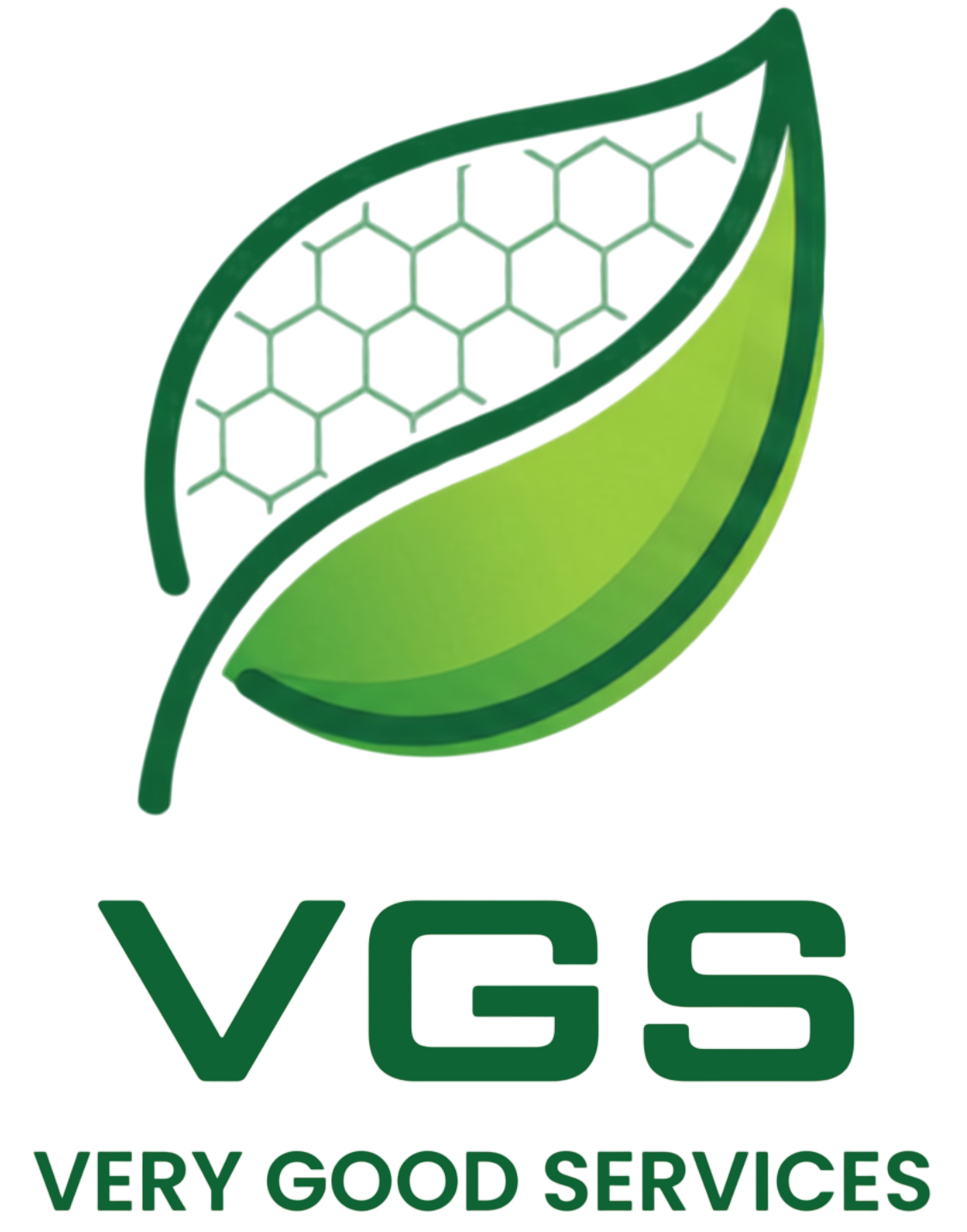 VGS