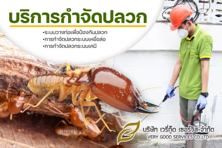 บริการกำจัดปลวก