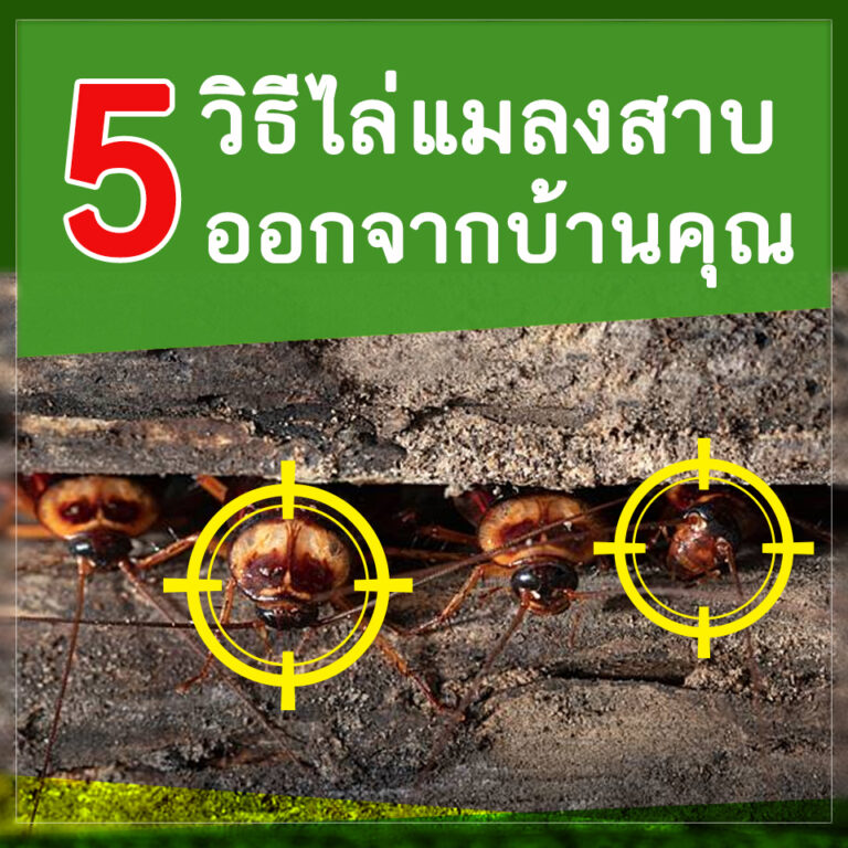 My Image 15