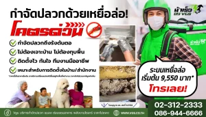 เปิดตัวบริการ “ม้าเร็ว” by VGS – กำจัดปลวกฏด่วน ด้วยระบบเหยื่อล่อถึงรัง!